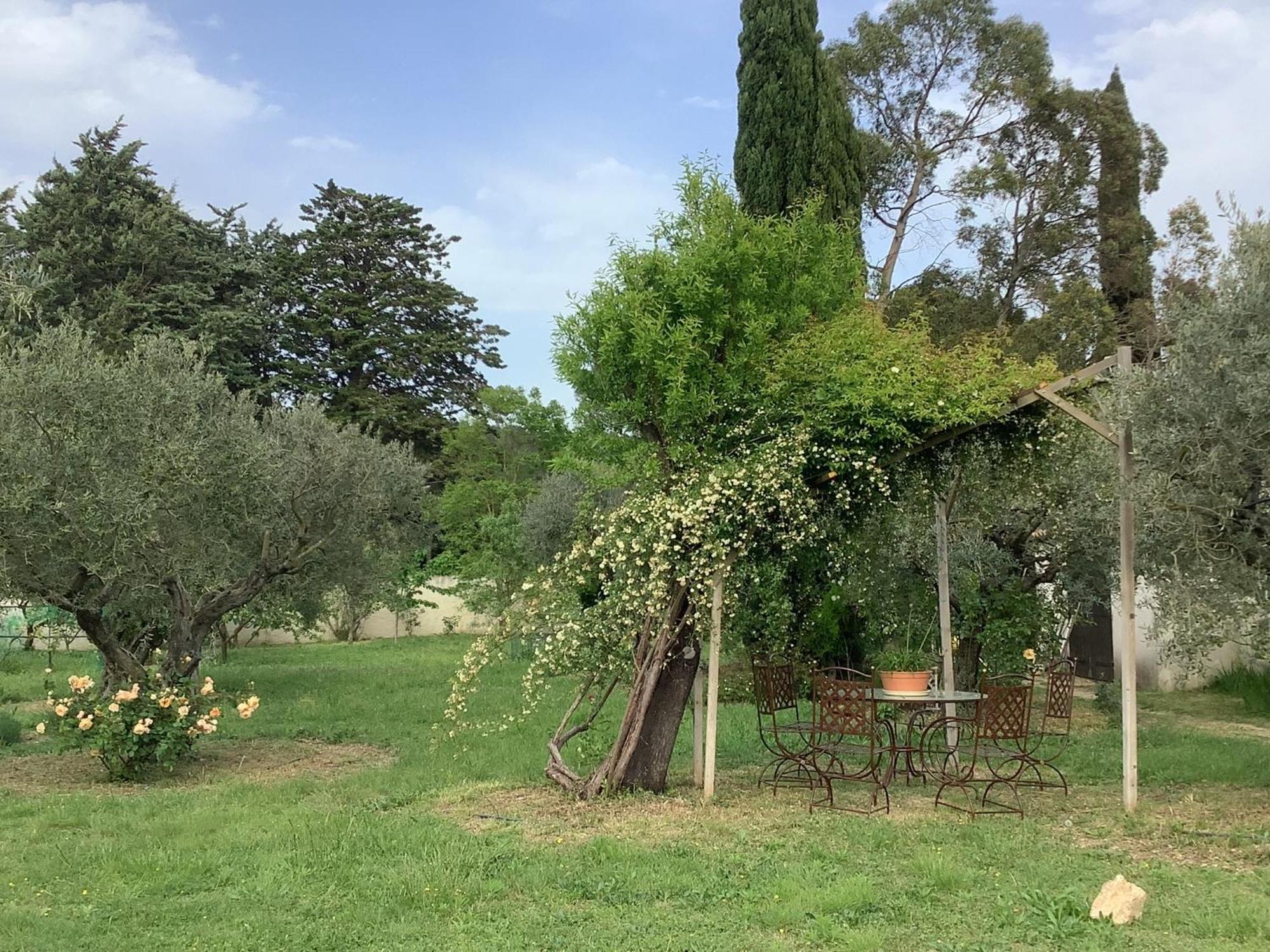 Le Mas Des Oliviers Martigues Esterno foto