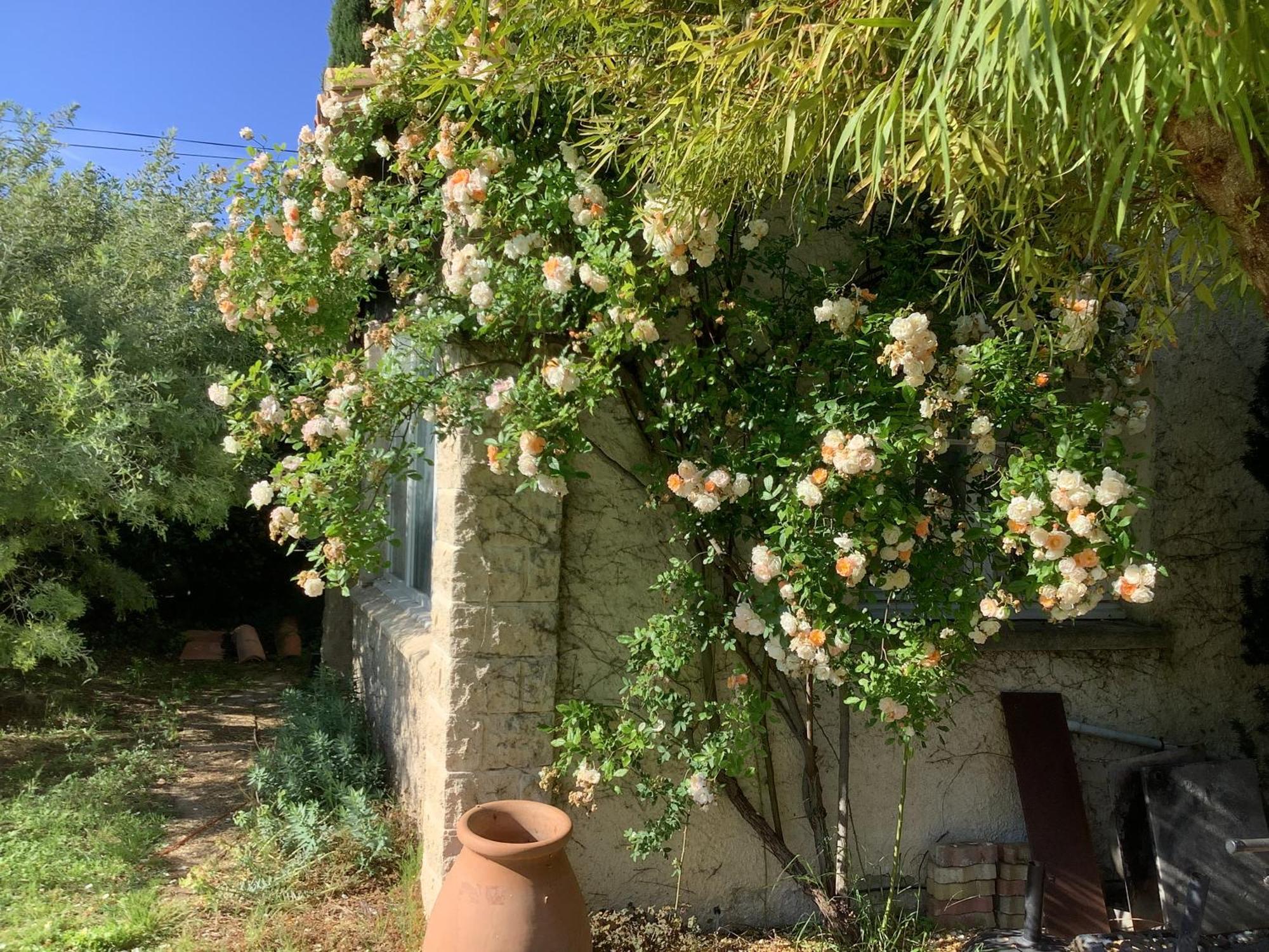 Le Mas Des Oliviers Martigues Esterno foto